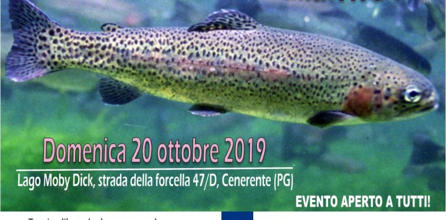 2019.10.20 gara di pesca