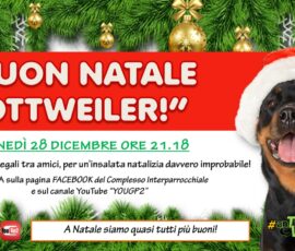 2020.12.28 buon Natale rotweiller