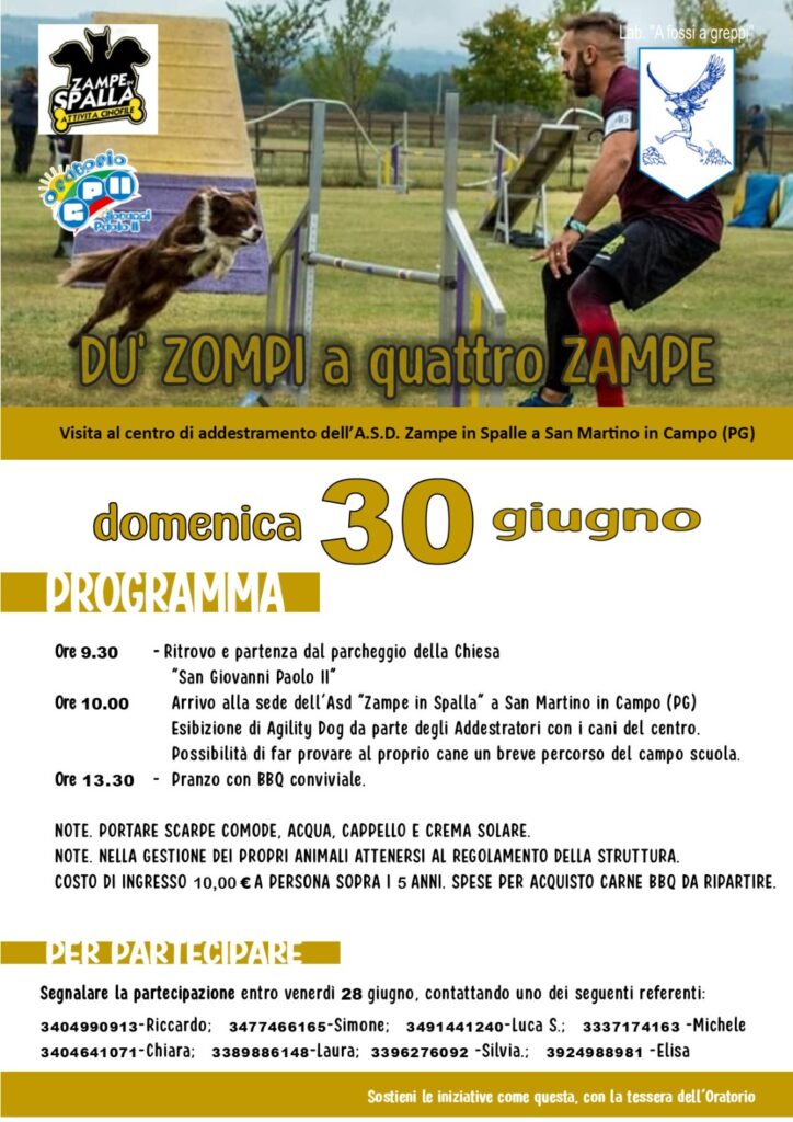 2024.06.30 AFAG agility dog